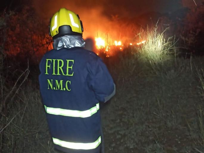 Fire at Ambazari Diversity Park on Hingana Road | हिंगणा रोडवरील अंबाझरी डायव्हर्सिटी पार्कला आग Fire at Ambazari Diversity Park on Hingana Road | हिंगणा रोडवरील अंबाझरी डायव्हर्सिटी पार्कला आग