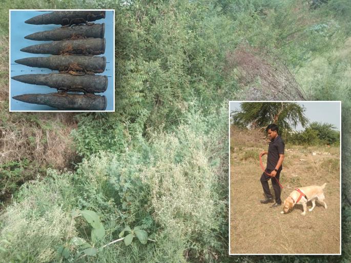 391 rounds of machine gun found in canal in Nanded | खळबळजनक! नांदेडमध्ये मशीन गनचे ३९१ राऊंड कालव्यात सापडले 391 rounds of machine gun found in canal in Nanded | खळबळजनक! नांदेडमध्ये मशीन गनचे ३९१ राऊंड कालव्यात सापडले