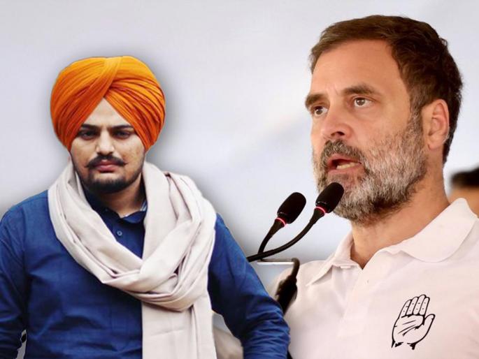 lok sabha election 2024 How many seats will India Aghadi win? Rahul Gandhi said, Listen to Sidhu Musevalala's song | इंडिया आघाडी किती जागा जिंकणार? राहुल गांधी म्हणाले, "सिद्धू मुसेवालाचे गाणे ऐका, कळेल.."