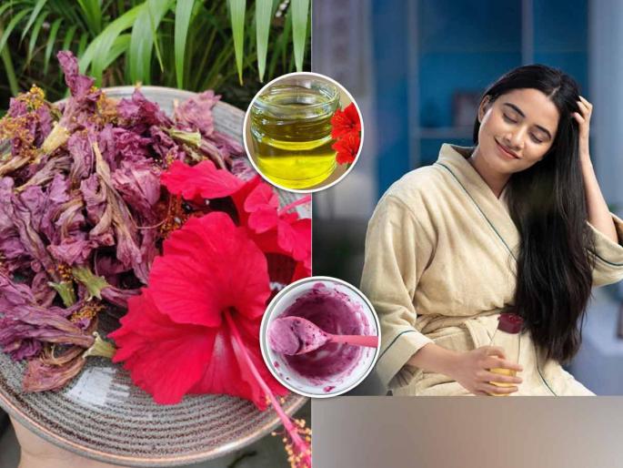 Hibiscus For Hair Growth: Benefits + How To Use | लांब आणि दाट केस हवेत? जास्वंदाच्या फुलांचा करा 'असा' वापर; केसांची प्रत्येक समस्या होईल दूर