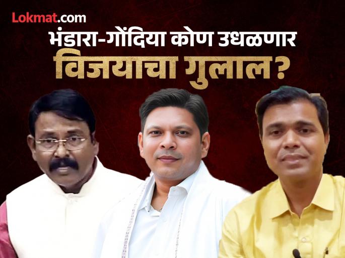 Bhandara Gondia Lok Sabha Results 2024 : Sunil Mendhe's lead even after the second round | Bhandara Gondia Lok Sabha Results 2024 : दुसऱ्या फेरीनंतरही सुनील मेंढे यांची आघाडी Bhandara Gondia Lok Sabha Results 2024 : Sunil Mendhe's lead even after the second round | Bhandara Gondia Lok Sabha Results 2024 : दुसऱ्या फेरीनंतरही सुनील मेंढे यांची आघाडी