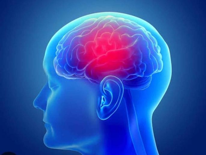 1 percent chance of developing brain tumor in lifetime | आयुष्यात ब्रेन ट्यूमर होण्याची १ टक्का शक्यता 1 percent chance of developing brain tumor in lifetime | आयुष्यात ब्रेन ट्यूमर होण्याची १ टक्का शक्यता