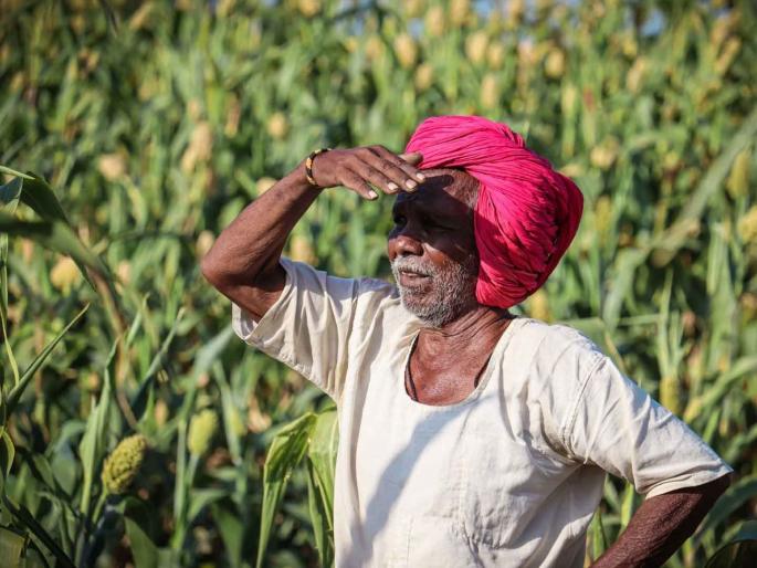 Waiting for government land for the landless farmer! | भूमिहीन कास्तकाराला सरकारजमा जमिनीची प्रतीक्षा ! Waiting for government land for the landless farmer! | भूमिहीन कास्तकाराला सरकारजमा जमिनीची प्रतीक्षा !