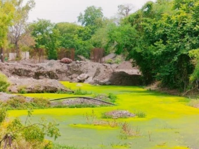The flow of the river is blocked, there is a possibility of flood water entering the village in buldhana | नदीचा प्रवाह अडविला, पुराने पाणी गावात शिरण्याची शक्यता The flow of the river is blocked, there is a possibility of flood water entering the village in buldhana | नदीचा प्रवाह अडविला, पुराने पाणी गावात शिरण्याची शक्यता