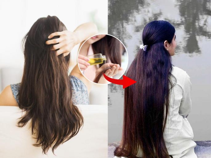 5 Natural Remedies to Stop Hair Fall | घरात बघावं तिकडं केस? योगगुरु सांगतात रोज ५ गोष्टी करा, केस गळती कायमची थांबेल