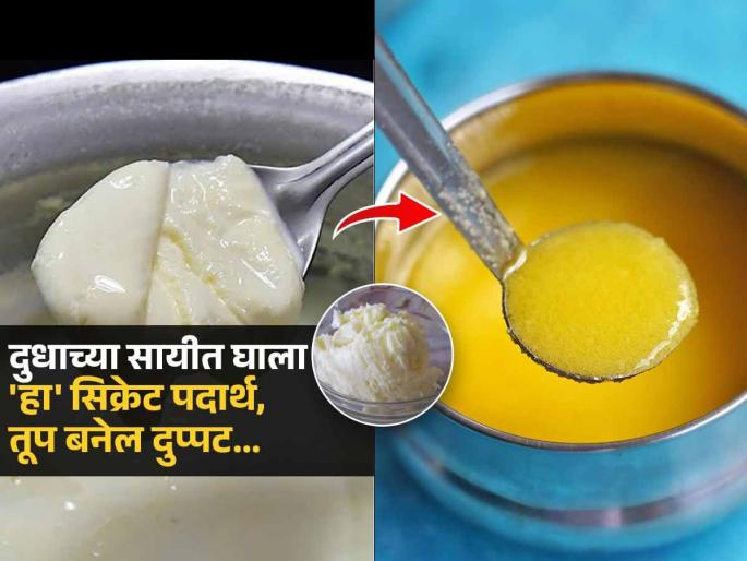 Tips & tricks how to extract more ghee from less cream or malai at home How To Make Ghee From Malai In 3 Easy Steps | दुधावर साय कमी येत असली तरी तूप होईल भरपूर, सायीत मिसळा १ पदार्थ आणि पाहा जादू...