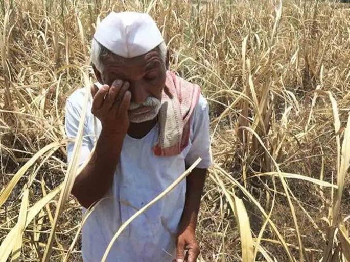 The benefit of 84 thousand farmers stopped due to 'e-KYC' Divisional Commissioner directed to process | 'ई-केवायसी'मुळे थांबला ८४ हजार शेतकऱ्यांचा लाभ विभागीय आयुक्तांनी प्रक्रिया करण्याचे निर्देश The benefit of 84 thousand farmers stopped due to 'e-KYC' Divisional Commissioner directed to process | 'ई-केवायसी'मुळे थांबला ८४ हजार शेतकऱ्यांचा लाभ विभागीय आयुक्तांनी प्रक्रिया करण्याचे निर्देश