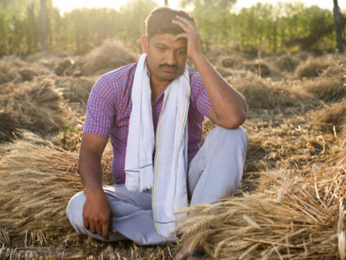 Five farmers committed suicide in Vidarbha in two days | विदर्भात दोन दिवसांत पाच शेतकऱ्यांची आत्महत्या