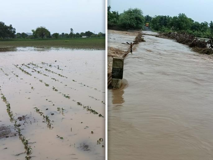 Rain lashed Yavatmal district | यवतमाळ जिल्ह्याला पावसाने झोडपले Rain lashed Yavatmal district | यवतमाळ जिल्ह्याला पावसाने झोडपले
