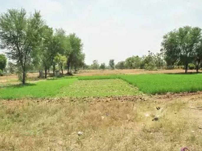 Land mafia grabs the lands of tribes living in Aheri | अहेरीत आदिवासींच्या जमिनी भूमाफियांच्या घशात Land mafia grabs the lands of tribes living in Aheri | अहेरीत आदिवासींच्या जमिनी भूमाफियांच्या घशात