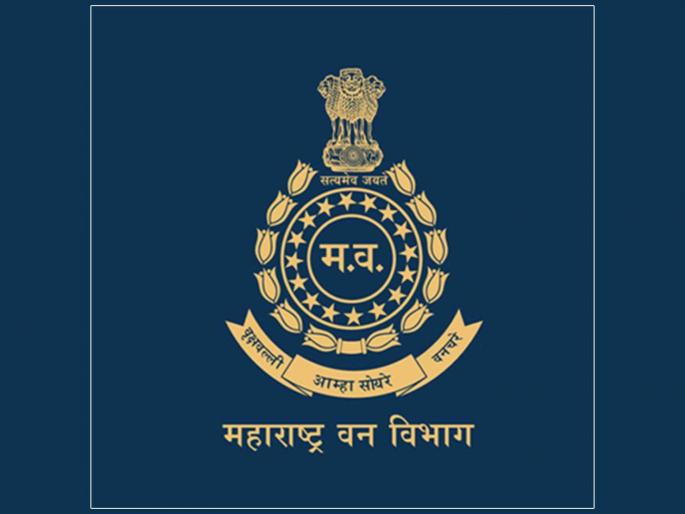 Additional increase in establishment cost of Forest Department due to 'IFS' | वनविभागाच्या आस्थापना खर्चात ‘आयएफएस’मुळे अतिरिक्त वाढ Additional increase in establishment cost of Forest Department due to 'IFS' | वनविभागाच्या आस्थापना खर्चात ‘आयएफएस’मुळे अतिरिक्त वाढ