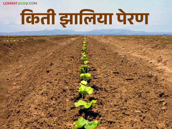Areas of cotton, soybeans increased; 68 percent sowing has been completed in the state | Kharif Perani कापूस, सोयाबीनचे क्षेत्र वाढले; राज्यात ६८ टक्के पेरण्या झाल्या पूर्ण Areas of cotton, soybeans increased; 68 percent sowing has been completed in the state | Kharif Perani कापूस, सोयाबीनचे क्षेत्र वाढले; राज्यात ६८ टक्के पेरण्या झाल्या पूर्ण