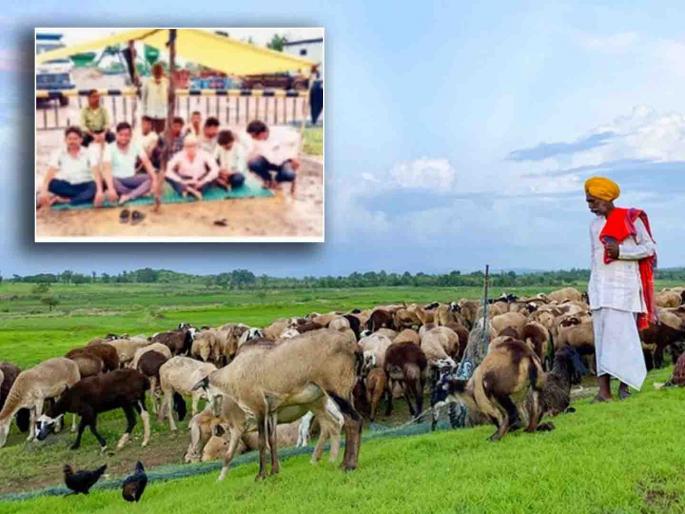 Dhangar society's stand against Sonai company for compensation | सोनाई कंपनीविरोधात धनगर समाजाचा ठिय्या Dhangar society's stand against Sonai company for compensation | सोनाई कंपनीविरोधात धनगर समाजाचा ठिय्या