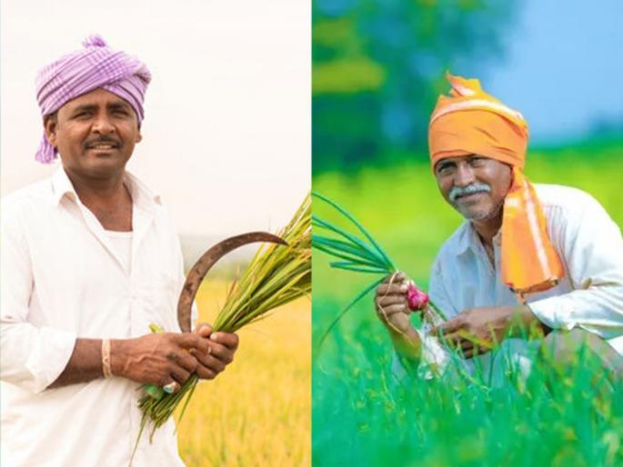 State level crop competition will be held; The winning farmer will get a reward! | राज्यस्तरीय पीक स्पर्धा होणार; जिंकणाऱ्या शेतकऱ्याला मिळणार इनाम ! State level crop competition will be held; The winning farmer will get a reward! | राज्यस्तरीय पीक स्पर्धा होणार; जिंकणाऱ्या शेतकऱ्याला मिळणार इनाम !