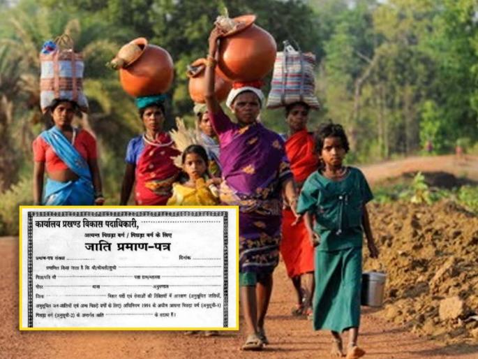 'Bogus' caste validity certificate in tribal name; Investigate through SIT | आदिवासींच्यानावाने 'बोगस' जात वैधता प्रमाणपत्र; एसआयटीमार्फत चौकशी करा 'Bogus' caste validity certificate in tribal name; Investigate through SIT | आदिवासींच्यानावाने 'बोगस' जात वैधता प्रमाणपत्र; एसआयटीमार्फत चौकशी करा