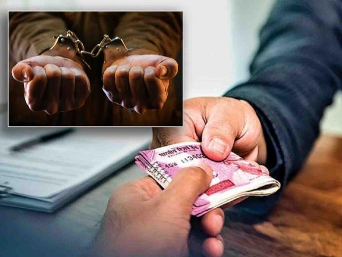 'Trap' by ACB, a bribe-taking Talathi arrested | तळणी येथील लाचखोर तलाठी एसीबीकडून ‘ट्रॅप’ 'Trap' by ACB, a bribe-taking Talathi arrested | तळणी येथील लाचखोर तलाठी एसीबीकडून ‘ट्रॅप’