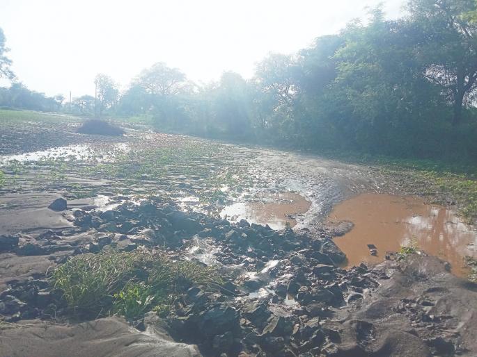 Loss of soybeans, cotton, tur, bananas due to heavy rains; 95 villages affected | अति पावसामुळे सोयाबीन, कापूस, तूर, केळीचे नुकसान; ९५ गावे बाधित Loss of soybeans, cotton, tur, bananas due to heavy rains; 95 villages affected | अति पावसामुळे सोयाबीन, कापूस, तूर, केळीचे नुकसान; ९५ गावे बाधित