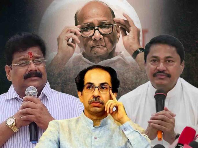 The high command of the three parties should find out the rebel MLAs and take action | तीन्ही पक्षांच्या हायकमांडने बंडखोर आमदारांचा शोध घेऊन कारवाई करावी The high command of the three parties should find out the rebel MLAs and take action | तीन्ही पक्षांच्या हायकमांडने बंडखोर आमदारांचा शोध घेऊन कारवाई करावी