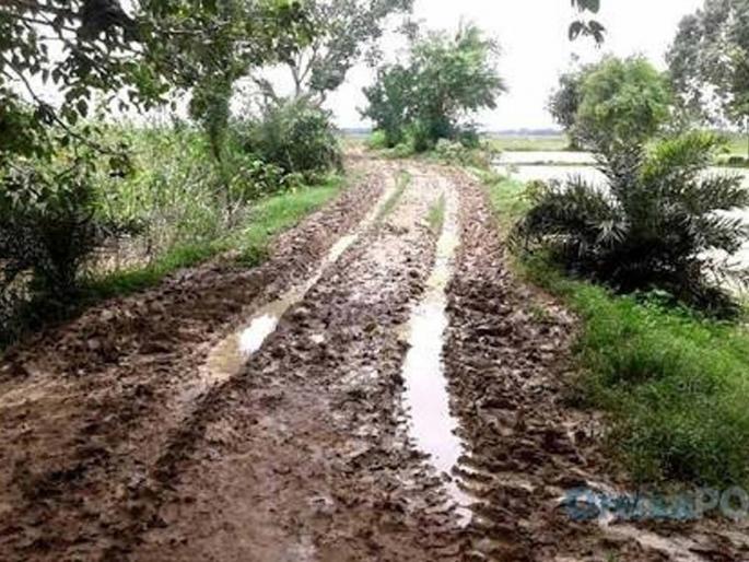 5 thousand 247 km proposal for Panand road, approval only for 554 km? | पाणंद रस्त्यासाठी ५ हजार २४७ किमीचे प्रस्ताव, मंजुरी केवळ ५५४ किमीलाच ? 5 thousand 247 km proposal for Panand road, approval only for 554 km? | पाणंद रस्त्यासाठी ५ हजार २४७ किमीचे प्रस्ताव, मंजुरी केवळ ५५४ किमीलाच ?