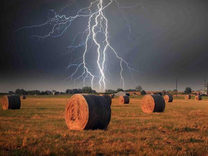 Lightning struck while planting, two women laborers killed | रोवणी करताना वीज पडली, दोन महिला मजुरांचा मृत्यू Lightning struck while planting, two women laborers killed | रोवणी करताना वीज पडली, दोन महिला मजुरांचा मृत्यू