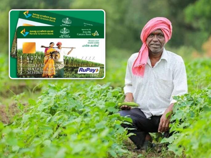 Banks denied credit cards to 82 percent of farmers | बँकांनी ८२ टक्के शेतकऱ्यांना क्रेडिट कार्ड नाकारले Banks denied credit cards to 82 percent of farmers | बँकांनी ८२ टक्के शेतकऱ्यांना क्रेडिट कार्ड नाकारले