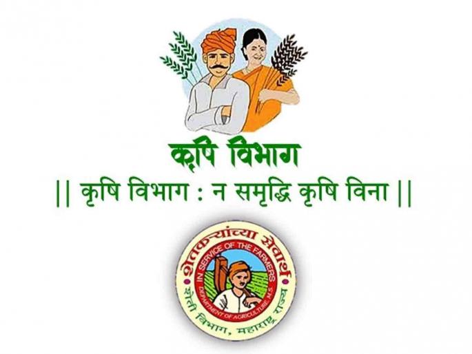 172 out of 436 posts vacant; How will agriculture develop? | ४३६ पैकी १७२ पदे रिक्त; कसा होणार शेतीची विकास ? 172 out of 436 posts vacant; How will agriculture develop? | ४३६ पैकी १७२ पदे रिक्त; कसा होणार शेतीची विकास ?