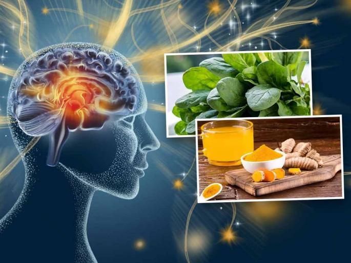 World Brain Day 2024: 5 foods you must eat for better brain power | World Brain Day : ब्रेन पॉवर वाढवण्यासाठी खा ५ पदार्थ; तुम्ही कधीच काहीच विसरणार नाही