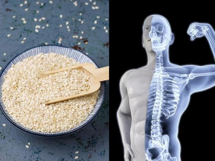 According To Ayurveda Dr Eat White Sesame Seeds To Beat Calcium And Vitamin D Deficiency | कॅल्शियम पाहिजे पण दूध नको? डॉक्टर सांगतात रोज खा १ चमचा पांढरे तीळ, हाडांना येईल बळकटी