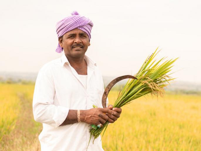 Insurance for one rupee, why did the farmers turn their backs? | एक रुपयात विमा, तरी शेतकऱ्यांनी का फिरवली पाठ ? Insurance for one rupee, why did the farmers turn their backs? | एक रुपयात विमा, तरी शेतकऱ्यांनी का फिरवली पाठ ?