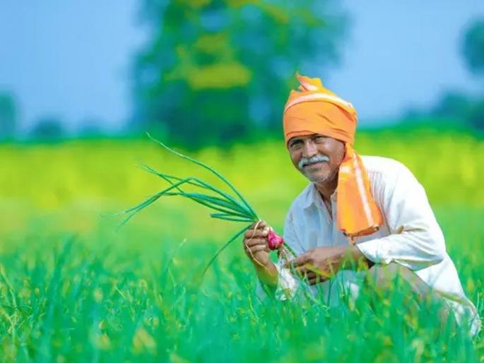 Chief Minister should also implement 'Ladka Shetkari Dada' scheme | 'लाडका शेतकरी दादा' योजना सुद्धा मुख्यमंत्र्यांनी राबवावी Chief Minister should also implement 'Ladka Shetkari Dada' scheme | 'लाडका शेतकरी दादा' योजना सुद्धा मुख्यमंत्र्यांनी राबवावी