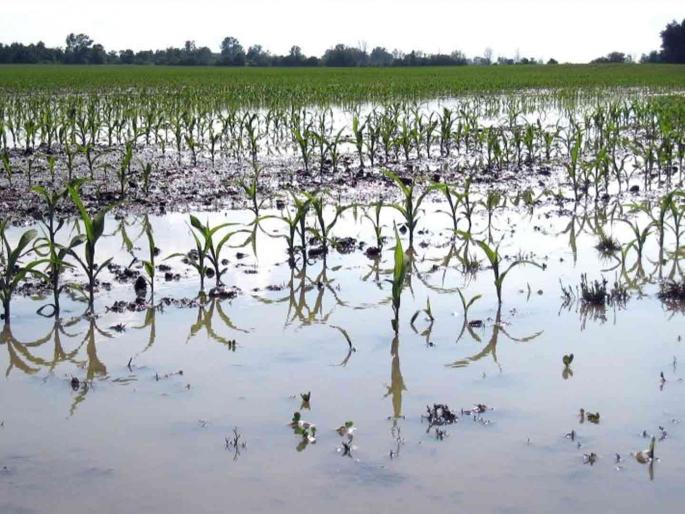 Flood hit; 96.93 lakhs fund for crops | पूराचा फटका; पिकांसाठी ९६.९३ लाख रुपयांचा निधी