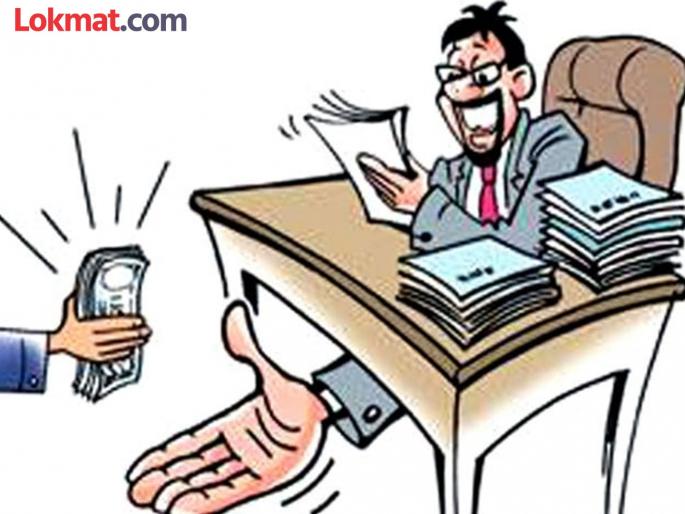 When will the suspension action be taken against the accused in the bribery case! | लाच प्रकरणातील आरोपींवर निलंबनाची कारवाई केव्हा ! When will the suspension action be taken against the accused in the bribery case! | लाच प्रकरणातील आरोपींवर निलंबनाची कारवाई केव्हा !