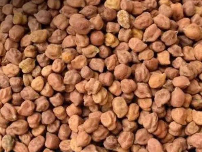 Farmers run out of supplies and gram goes up to Rs 7,250! | शेतकऱ्यांजवळील माल संपला आणि हरभरा ७,२५० रुपयांवर गेला! Farmers run out of supplies and gram goes up to Rs 7,250! | शेतकऱ्यांजवळील माल संपला आणि हरभरा ७,२५० रुपयांवर गेला!