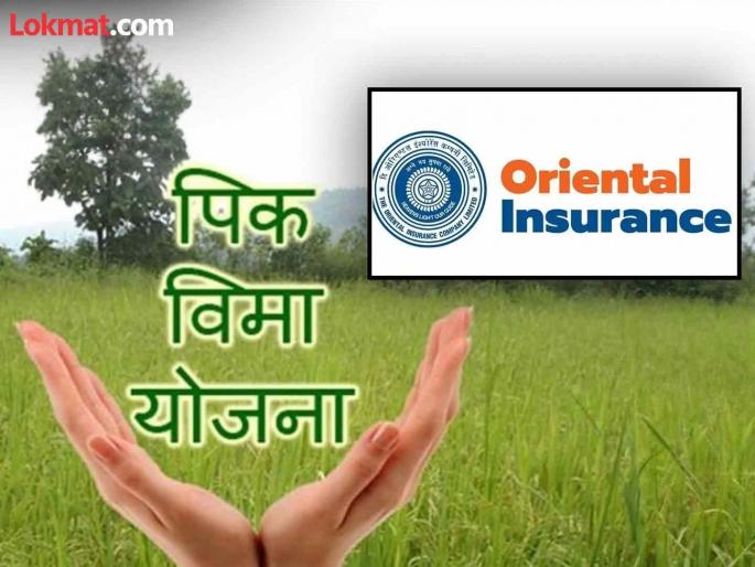 Farmers issue notice to company administration; 87 farmers did not get compensation | शेतकऱ्यांनी बजावली कंपनी प्रशासनाला नोटीस; ८७ शेतकऱ्यांना मिळाला नाही मोबदला Farmers issue notice to company administration; 87 farmers did not get compensation | शेतकऱ्यांनी बजावली कंपनी प्रशासनाला नोटीस; ८७ शेतकऱ्यांना मिळाला नाही मोबदला