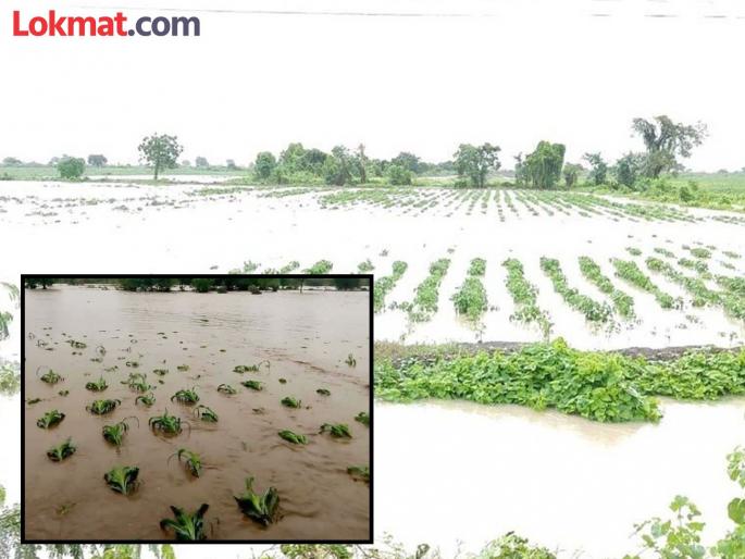 9 thousand 420 farmers were hit by unseasonal rain in Bhandara district | भंडारा जिल्ह्यात अवकाळी पावसाचा ९ हजार ४२० शेतकऱ्यांना बसला तडाखा 9 thousand 420 farmers were hit by unseasonal rain in Bhandara district | भंडारा जिल्ह्यात अवकाळी पावसाचा ९ हजार ४२० शेतकऱ्यांना बसला तडाखा