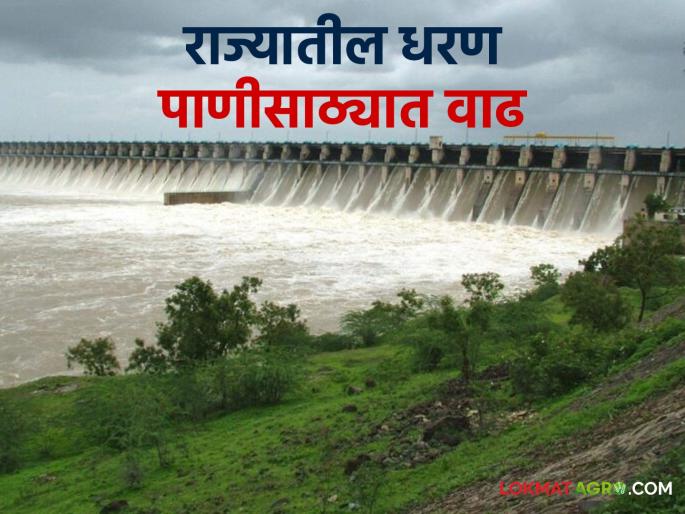 Latest News Maharashtra dam Storage Heavy rains, dams in maharashtra are 80 percent, read today's water storage  | Maharashtra Dam Storage : पाऊस मुसळधार, राज्यातील धरणे 80 टक्के भरली, वाचा आजचा पाणीसाठा  Latest News Maharashtra dam Storage Heavy rains, dams in maharashtra are 80 percent, read today's water storage  | Maharashtra Dam Storage : पाऊस मुसळधार, राज्यातील धरणे 80 टक्के भरली, वाचा आजचा पाणीसाठा
