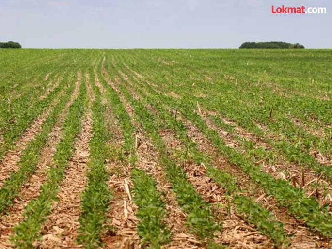 1.5 crore per acre for agriculture near the city; Agricultural prices have skyrocketed | शहरालगतच्या शेतीला एकरी दीड कोटीचा भाव; शेतीचे भाव भिडले गगनाला 1.5 crore per acre for agriculture near the city; Agricultural prices have skyrocketed | शहरालगतच्या शेतीला एकरी दीड कोटीचा भाव; शेतीचे भाव भिडले गगनाला