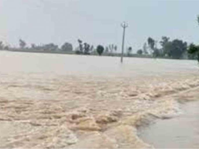 The body was found near the big bridge | मोठ्या पुलाजवळ आढळला मृतदेह; घटना बुधवारी दुपारी उघडकीस The body was found near the big bridge | मोठ्या पुलाजवळ आढळला मृतदेह; घटना बुधवारी दुपारी उघडकीस