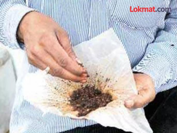 In Waddha area of Armori taluka chemical tobacco is being used in khara | आरमोरी तालुक्यातील वडधा परिसरात खर्रामध्ये वापरला जातोय केमिकलयुक्त तंबाखू In Waddha area of Armori taluka chemical tobacco is being used in khara | आरमोरी तालुक्यातील वडधा परिसरात खर्रामध्ये वापरला जातोय केमिकलयुक्त तंबाखू