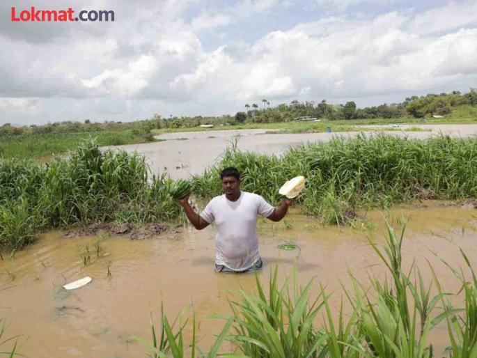 Assess flood damage promptly; Understand the mentality of the victims | अतिवृष्टी नुकसानीचे पंचनामे तातडीने करा; नुकसानग्रस्तांची मानसिकता समजून घ्या Assess flood damage promptly; Understand the mentality of the victims | अतिवृष्टी नुकसानीचे पंचनामे तातडीने करा; नुकसानग्रस्तांची मानसिकता समजून घ्या