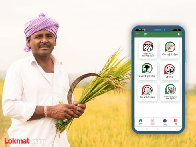 Only half of the farmers in the district have registered the e-Peak app | जिल्ह्यातील अर्ध्याच शेतकऱ्यांनी केली ई-पीक अॅप नोंदणी Only half of the farmers in the district have registered the e-Peak app | जिल्ह्यातील अर्ध्याच शेतकऱ्यांनी केली ई-पीक अॅप नोंदणी