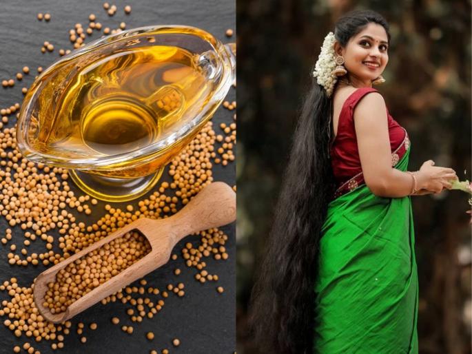 Mustard Oil And Kapoor For Hairs Hair Care Tips : How To Use Mustard Oil For Hairs | केसांची शेपटी झाली? मोहोरीच्या तेलात हा पदार्थ मिसळून केसांना लावा; दाट-लांबसडक होतील केस