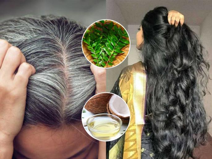 How Blacken Grey Hairs : Add These 3 Ingredients In Coconut Oil to Get Long And Shiny Hairs | डाय न लावता पांढरे केस करा काळे; नारळाच्या तेलात हा पदार्थ घालून लावा, आठवड्याभरात केस काळे होतील