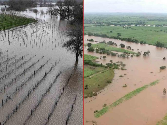 Immediately report the damage caused by heavy rain | अतिवृष्टीने झालेल्या नुकसानीचे तत्काळ पंचनामे करा