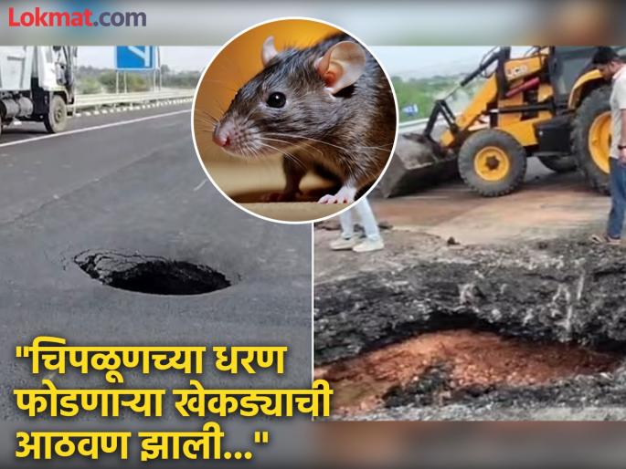 Dams infested with crabs, rats infested Delhi-Mumbai Expressway; Cars started flying in the air Rajasthan's Dausa caves in | खेकड्यांनी पोखरलं होतं धरण, उंदरांनी दिल्ली-मुंबई एक्सप्रेस वे; गाड्या हवेत उडू लागल्या Dams infested with crabs, rats infested Delhi-Mumbai Expressway; Cars started flying in the air Rajasthan's Dausa caves in | खेकड्यांनी पोखरलं होतं धरण, उंदरांनी दिल्ली-मुंबई एक्सप्रेस वे; गाड्या हवेत उडू लागल्या