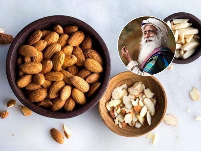 Sadhguru - The Right Way to Consume Almonds | सद्गुरु जग्गी वासुदेव सांगतात 'या' पद्धतीने बदाम खाल तर मिळेल पोषण; अन्यथा कर्करोग आणि..