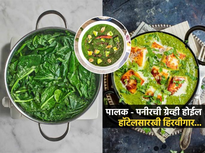 How to retain green color of spinach while blanching How to retain the green color of palak How To Make Greenest Palak Paneer | हॉटेलसारखे हिरवेगार पालकपनीर घरी करायचे? २ सोप्या टिप्स - करा चमचमीत भाजी झटपट...