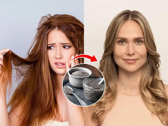 Chia Seeds Hair Conditioner For Long Healthy Hair HOW TO MAKE CHIA SEEDS HAIR GEL CONDITIONER AT HOME How To Make Chia Seed Conditioner | फक्त १ टेबलस्पून चिया सीड्सचे करा केसांसाठी कंडिशनर- एका धुण्यात केस होतील सिल्की आणि चमकदार...