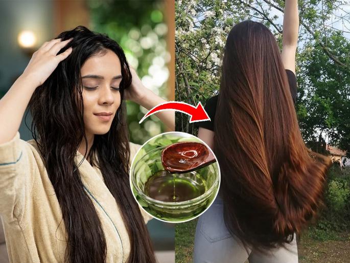 My SECRET Homemade Hair oil For Long & Healthy Hairs | खोबरेल तेल लावूनही केस गळतात? तेलात मिसळा ४ गोष्टी; केस गळती थांबेल - पांढरेही होणार नाहीत