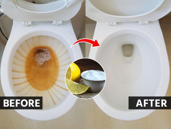 How to Clean Toilet Without Using Brush : How To Clean Toilet Not Using Hands | टॉयलेट साफ करताना किळस येते? हात न लावता- ब्रश न वापरता करा टॉयलेट स्वच्छ, सोपी ट्रिक